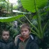 zoo 9